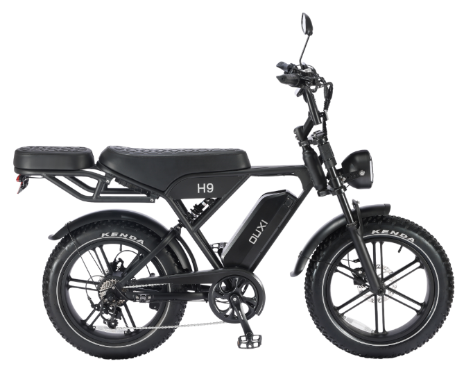 Ouxi H9 Fatbike 2026 – Elektrische Fatbike 250W 20 inch 